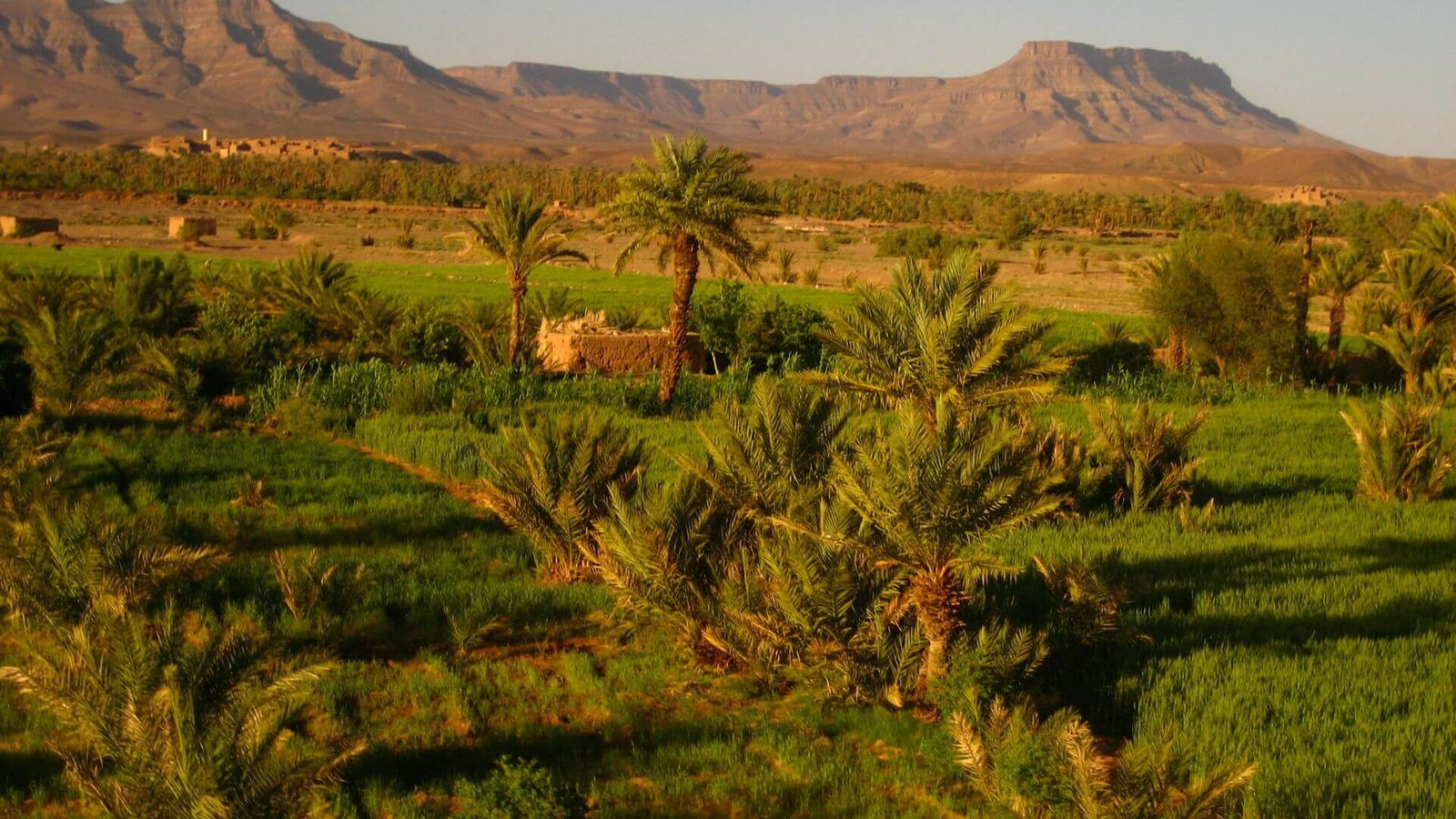 Best Time to Visit the Atlas Mountains