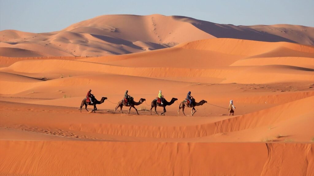 Enjoy a Camel Ride