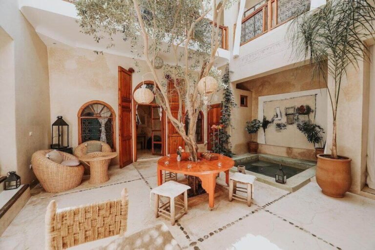 Patio ensoleillé avec bassin et olivier au Dar Nour el Houda à Marrakech.
