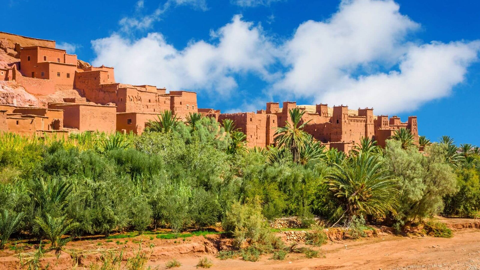 day trips from Marrakech