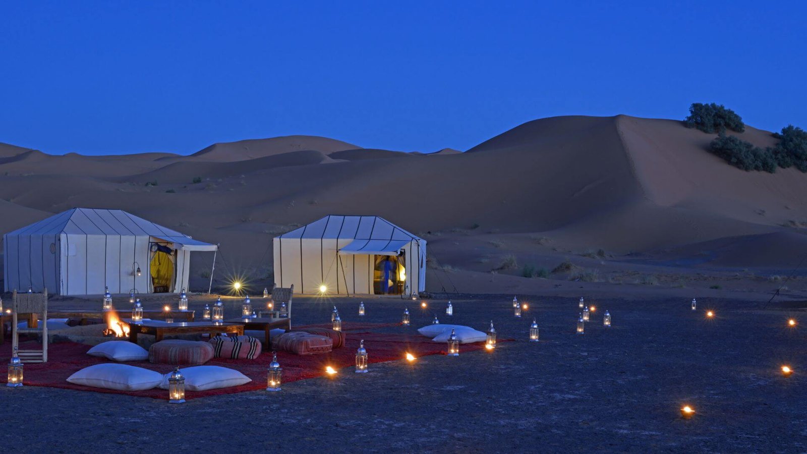 Top Experiences in the Sahara Desert