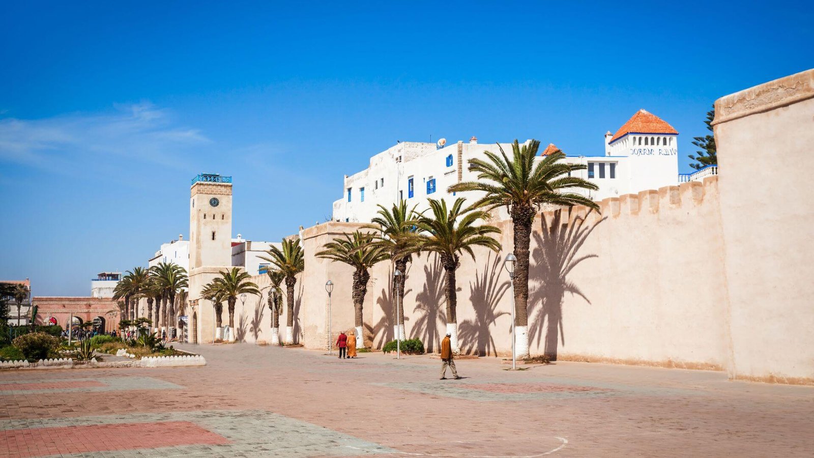 Top Things to Do in Essaouira