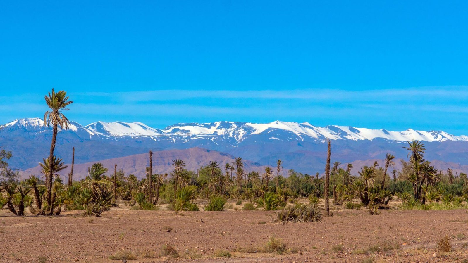 Sample Itineraries for an Atlas Mountains Day Trip