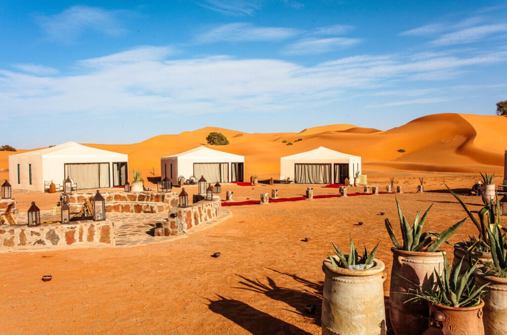 Luxury Desert Tour (Premium Experience)