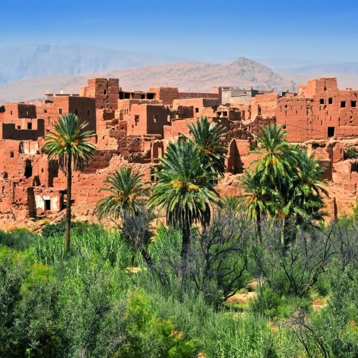 Marrakech Experiences