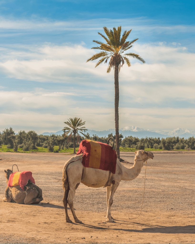 Marrakech Itineraries