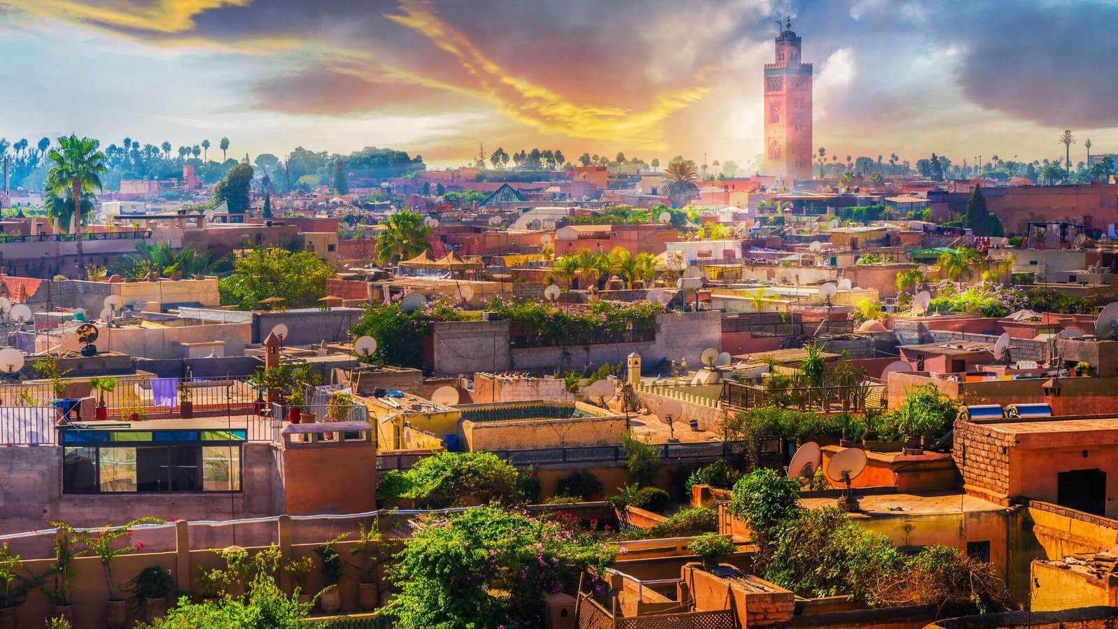 Marrakech travel tips