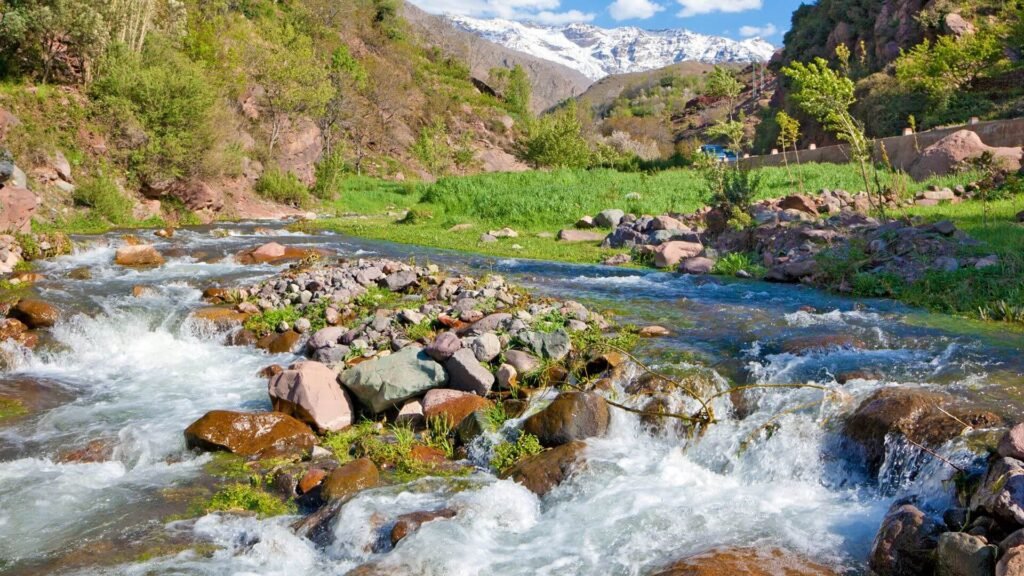 Ouirgane Valley Escape