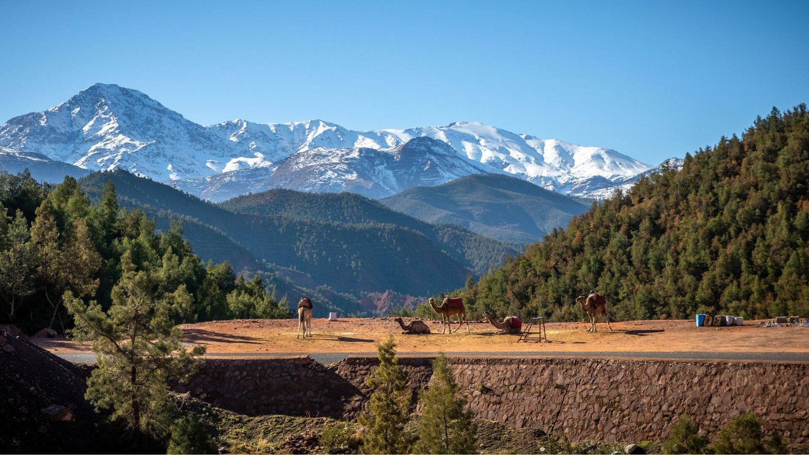 Ourika Valley day trip from Marrakech