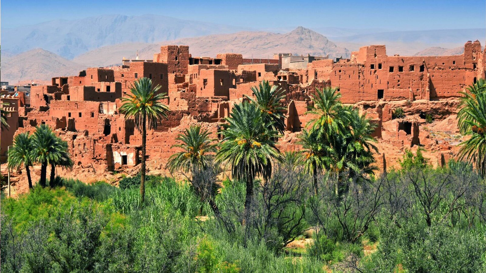 Plan Your Trip to Marrakech