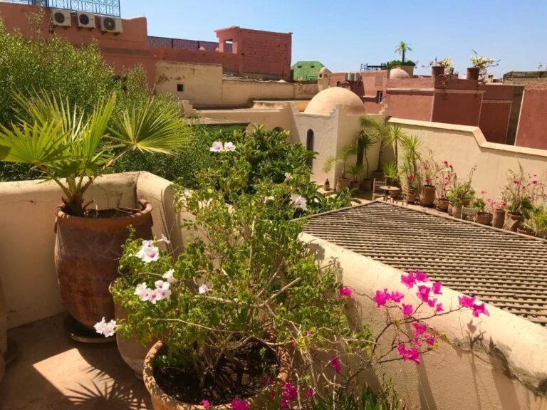Riad Sahara Nour courtyard with traditional Moroccan decor and budget-friendly rooms in Marrakech Medina
