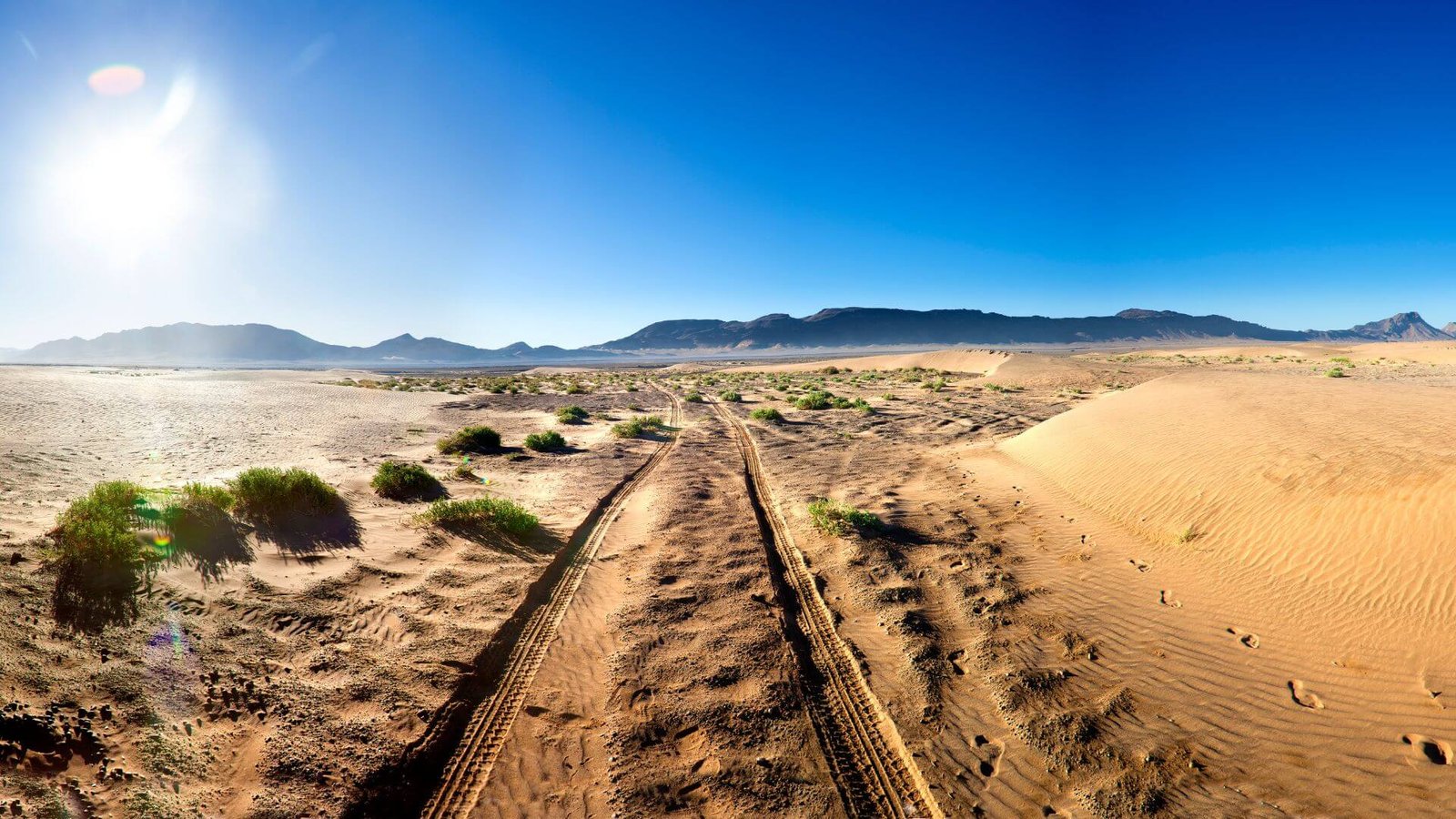 Why Visit the Sahara Desert?