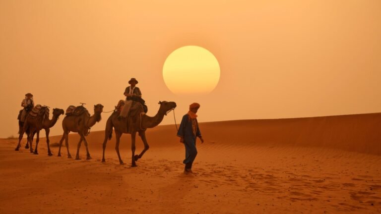 Sahara Desert Adventure