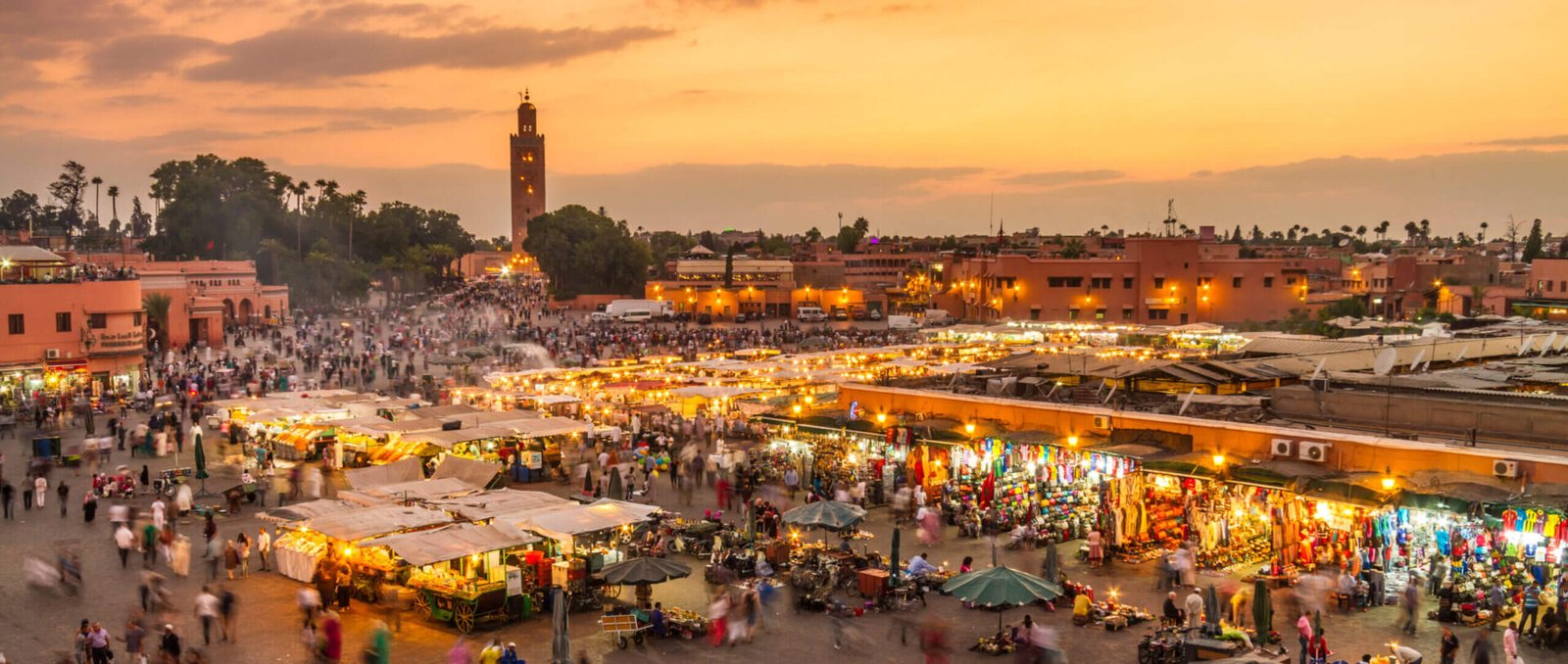 things to do in Marrakech