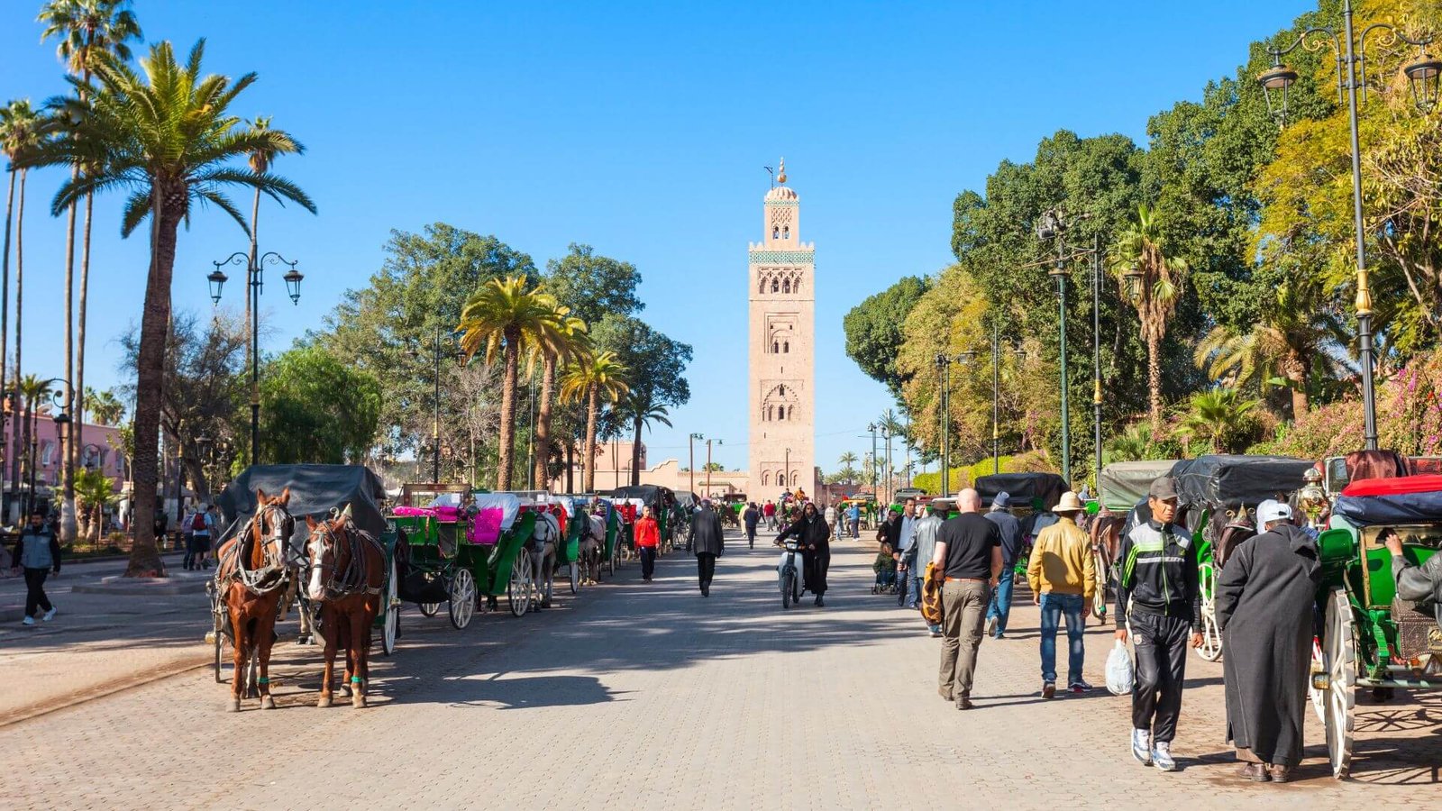 Best Things to Do in Marrakech