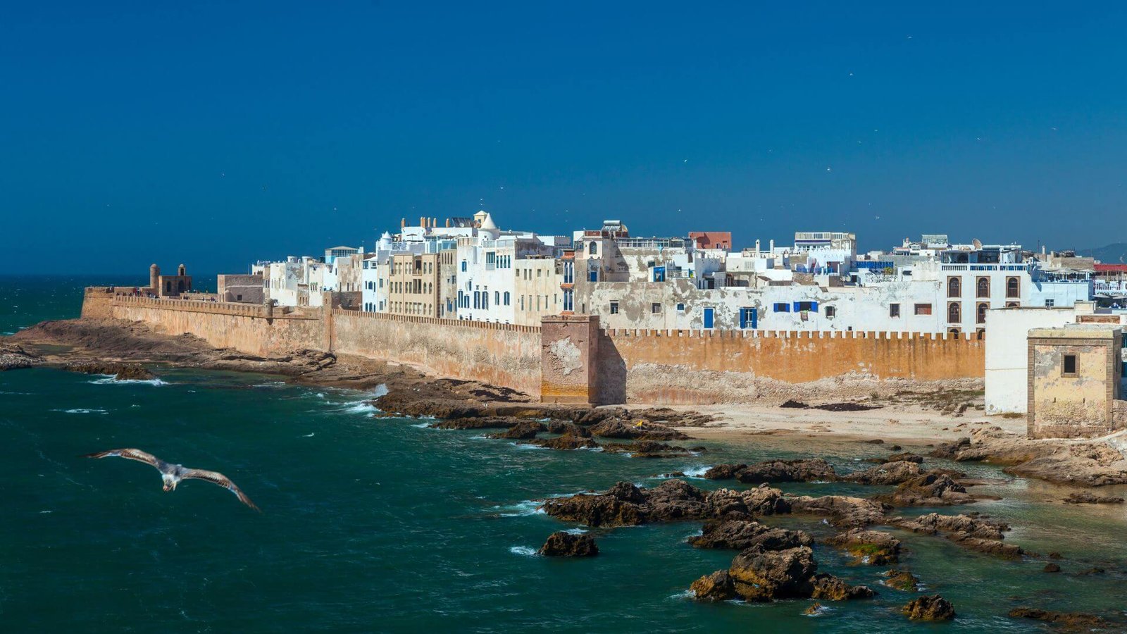 Why Visit Essaouira
