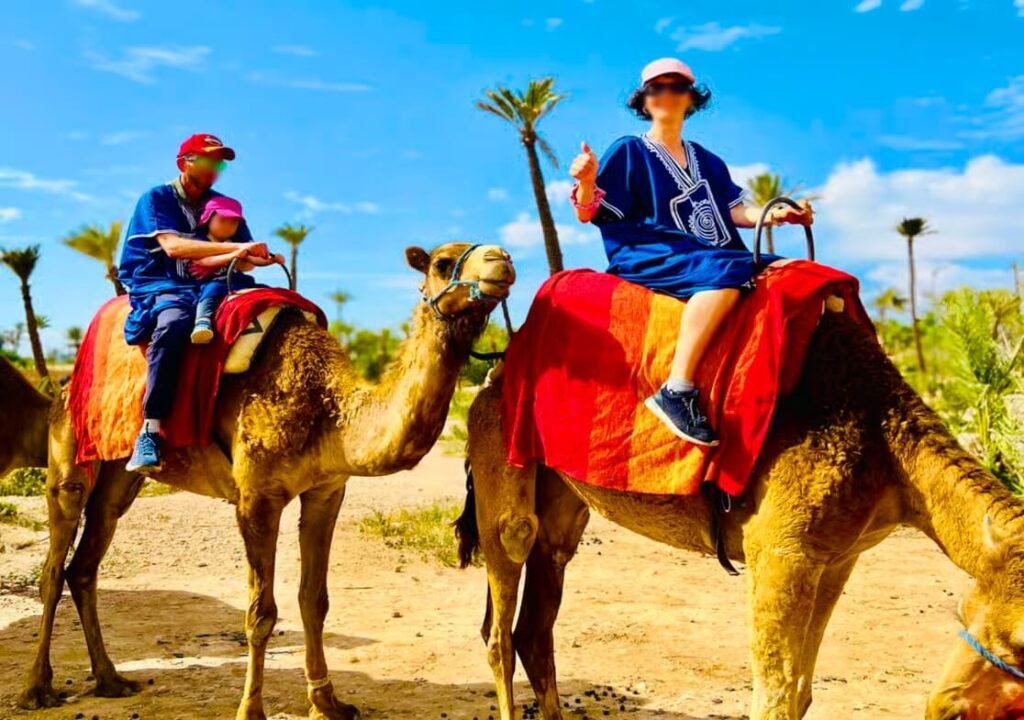 Camel Ride in the Oasis Palmeraie Marrakech