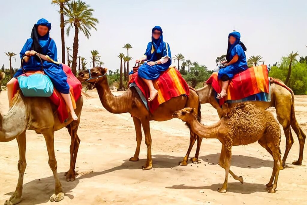 Private Camel Ride Marrakech