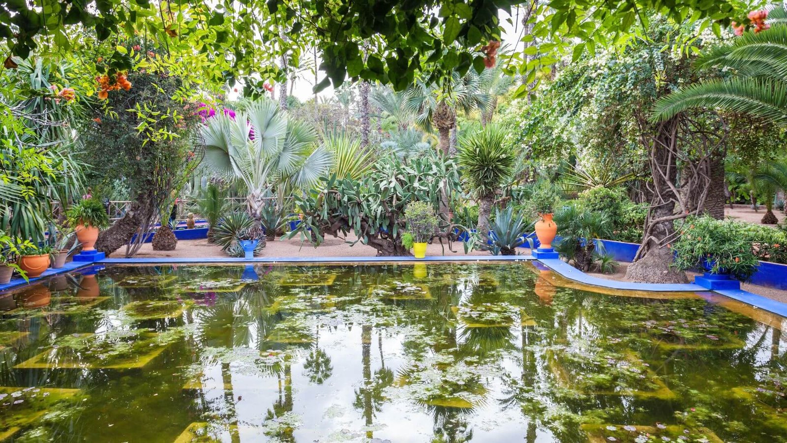 gardens nature marrakech