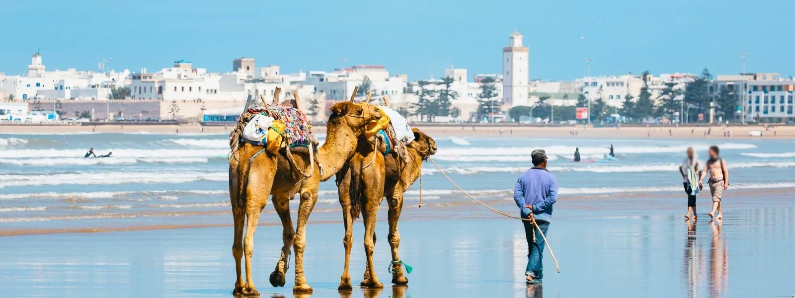 Best Time to Visit Essaouira